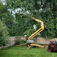 Best Utility Line Clearance  in , DE