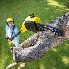  , DE Tree Care Pros