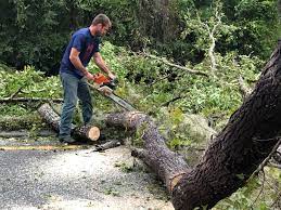 Best Lot and Land Clearing  in , DE