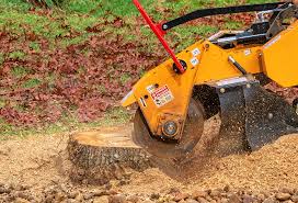 Best Arborist Consultation Services  in , DE