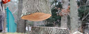  , DE Tree Care Pros